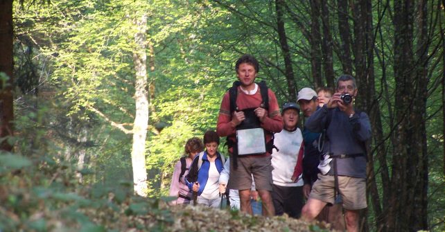 Randonner dans l’Yonne