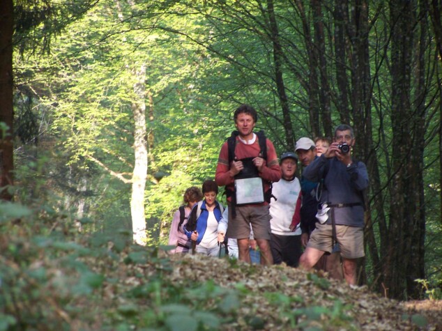 randonnée en forêt d'othe